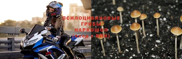 эйфоретик Бородино