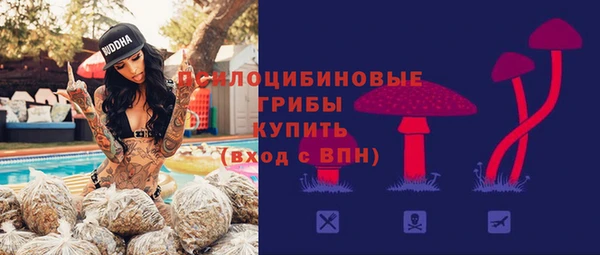гашик Бронницы