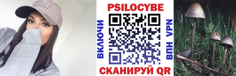 Галлюциногенные грибы Psilocybine cubensis  Цимлянск 
